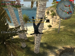 screen000_4.jpg